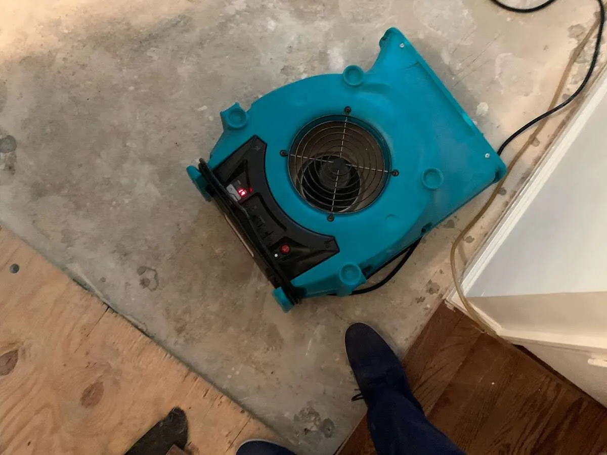 Air mover drying subfloor during Commercial Water Damage Restoration in Walnut